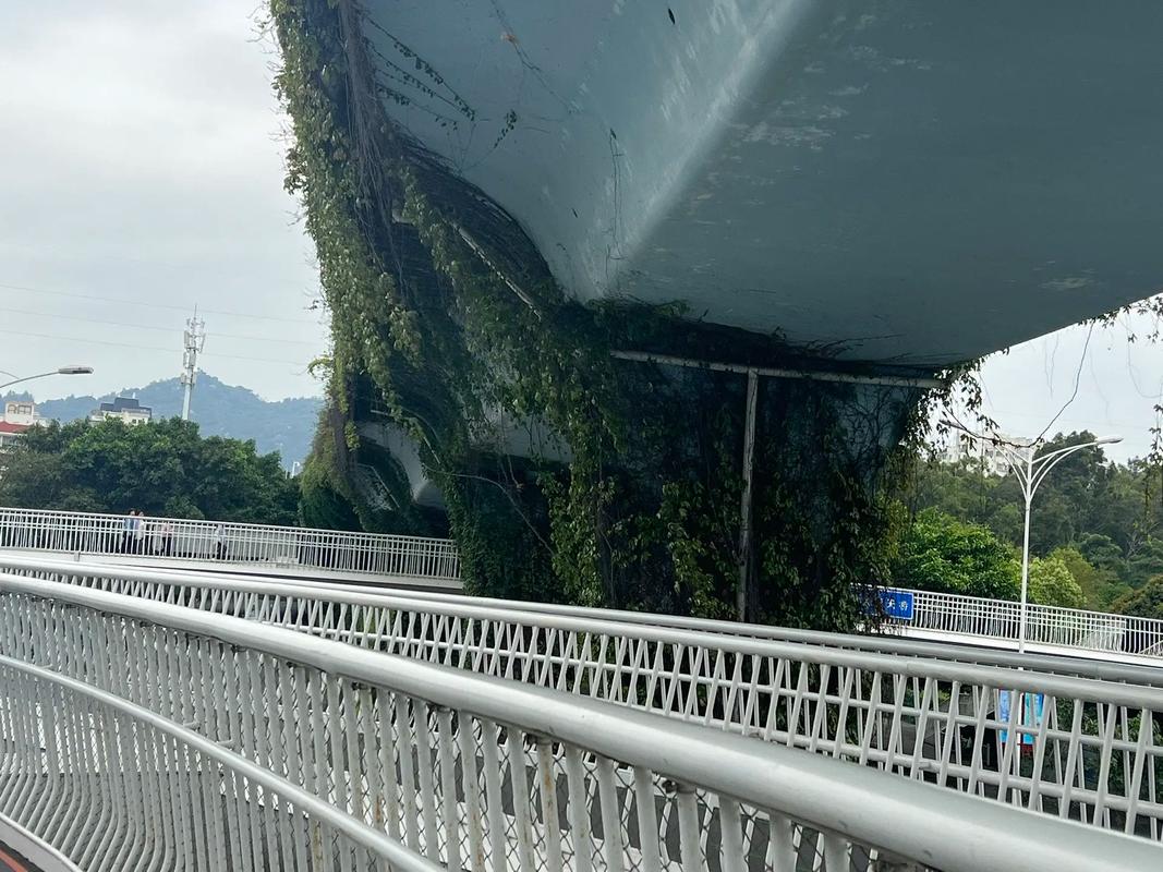 廈門(mén) 創(chuàng)新交通與設(shè)計(jì)的城市典范